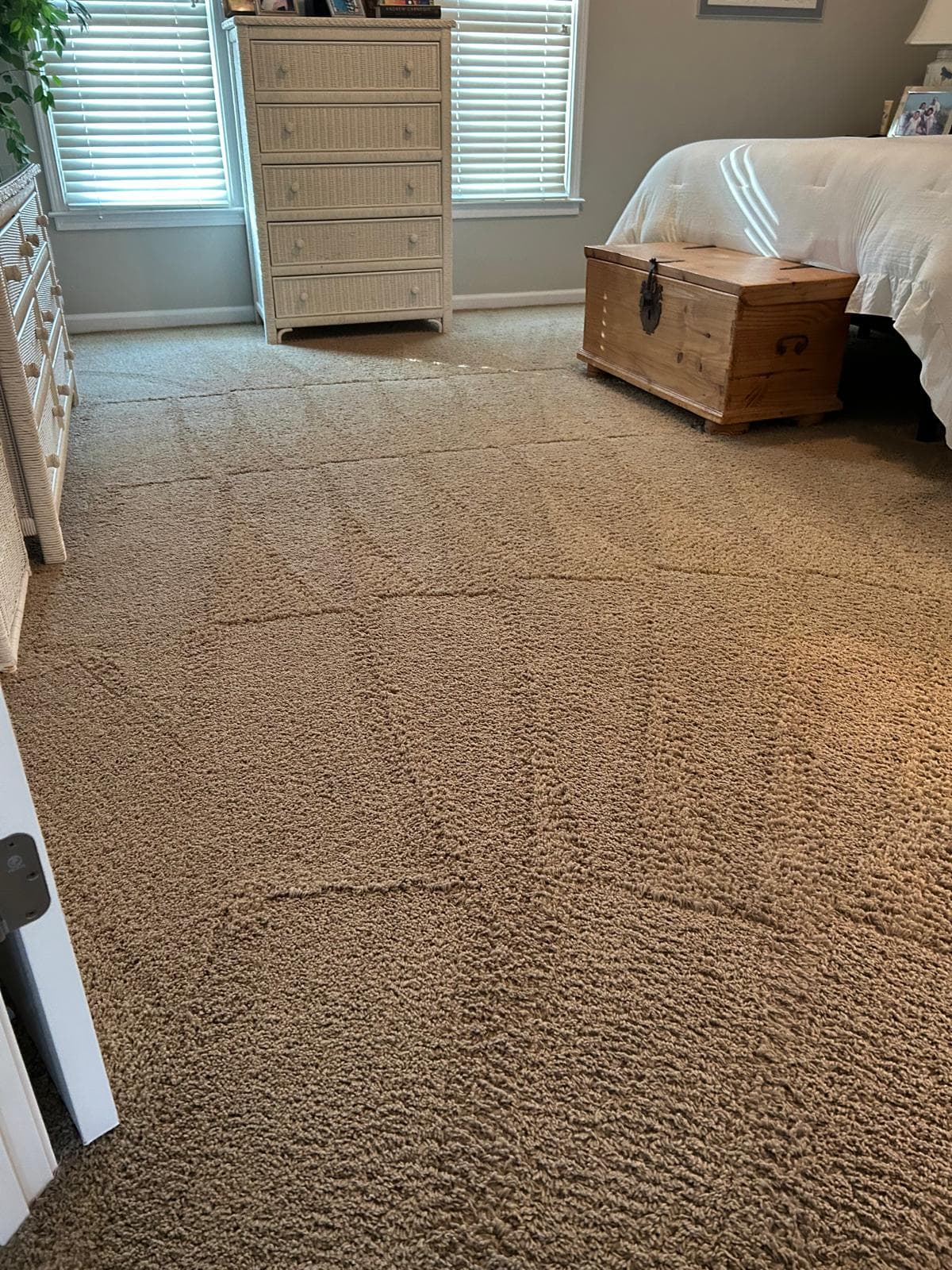 Fresh vacuum lines on a bedroom carpet after professional cleaning